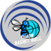 Logo EST Basketball
