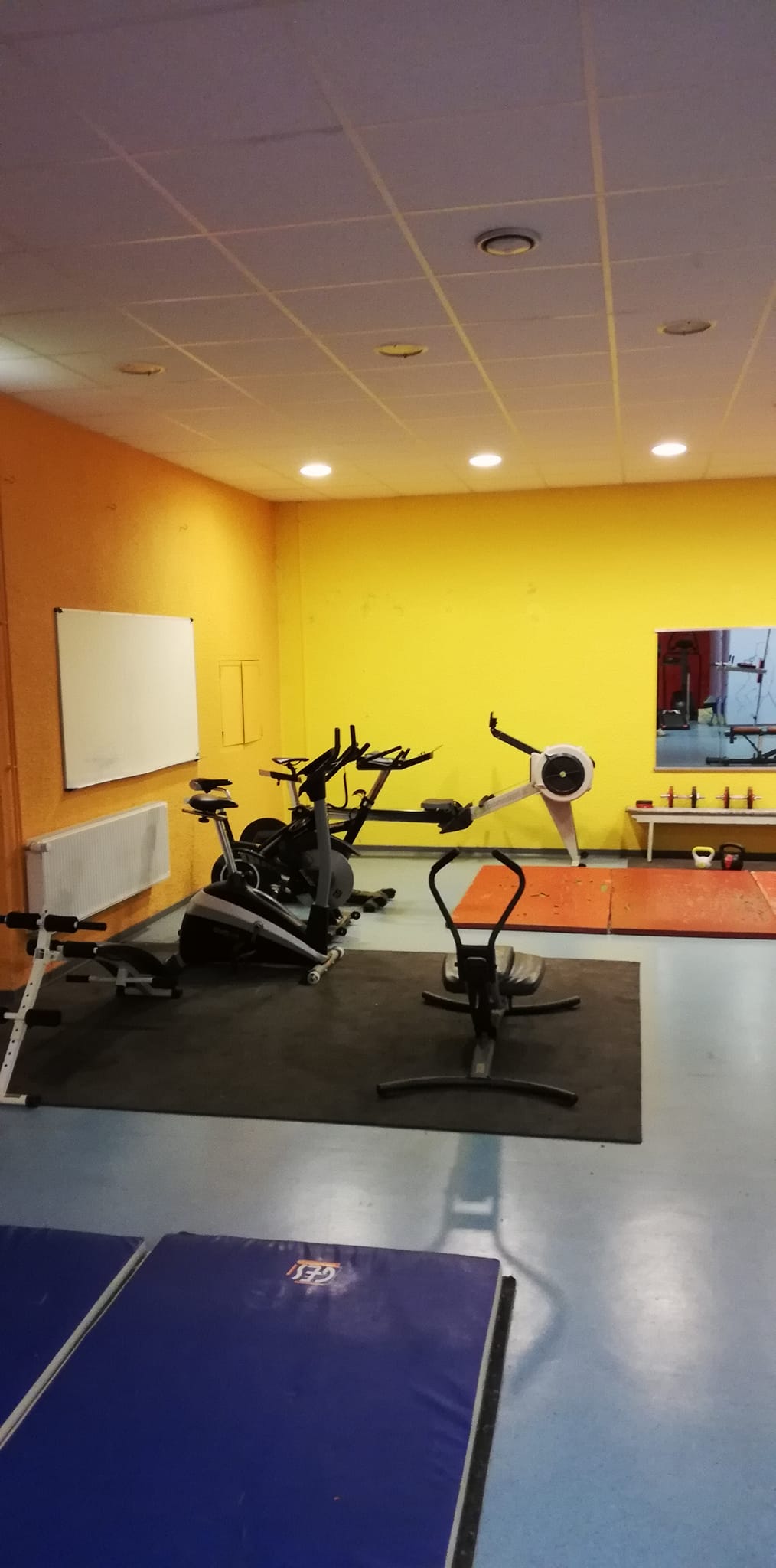 La salle de musculation